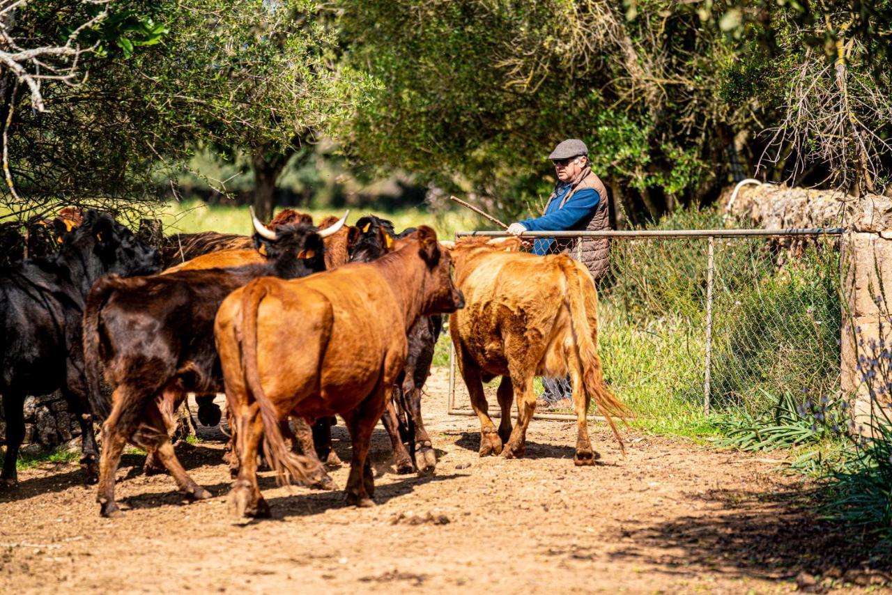 Finca Agroturismo Son Menut Felanitx Exteriör bild