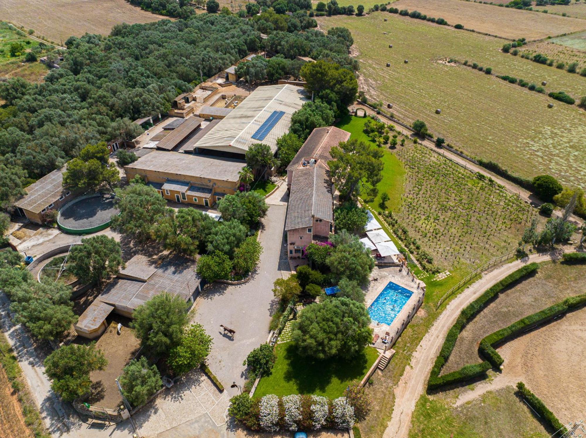 Finca Agroturismo Son Menut Felanitx Exteriör bild