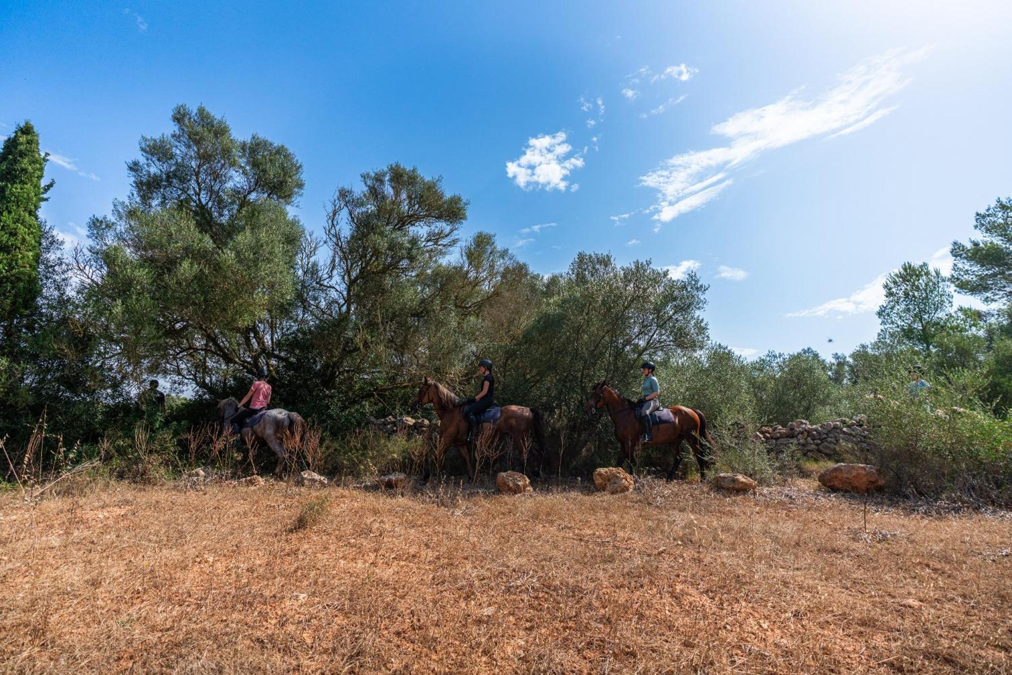 Finca Agroturismo Son Menut Felanitx Exteriör bild
