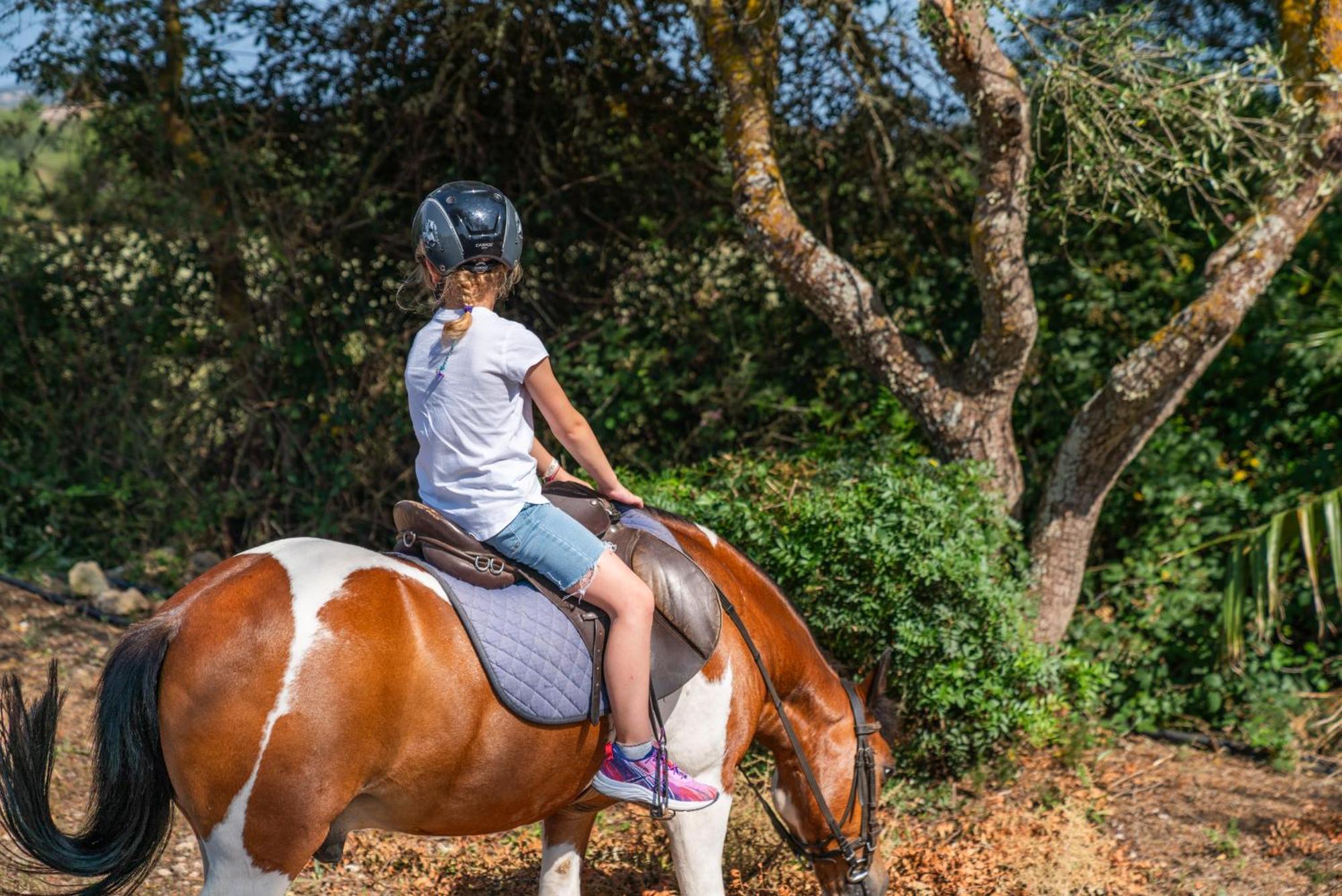 Finca Agroturismo Son Menut Felanitx Exteriör bild
