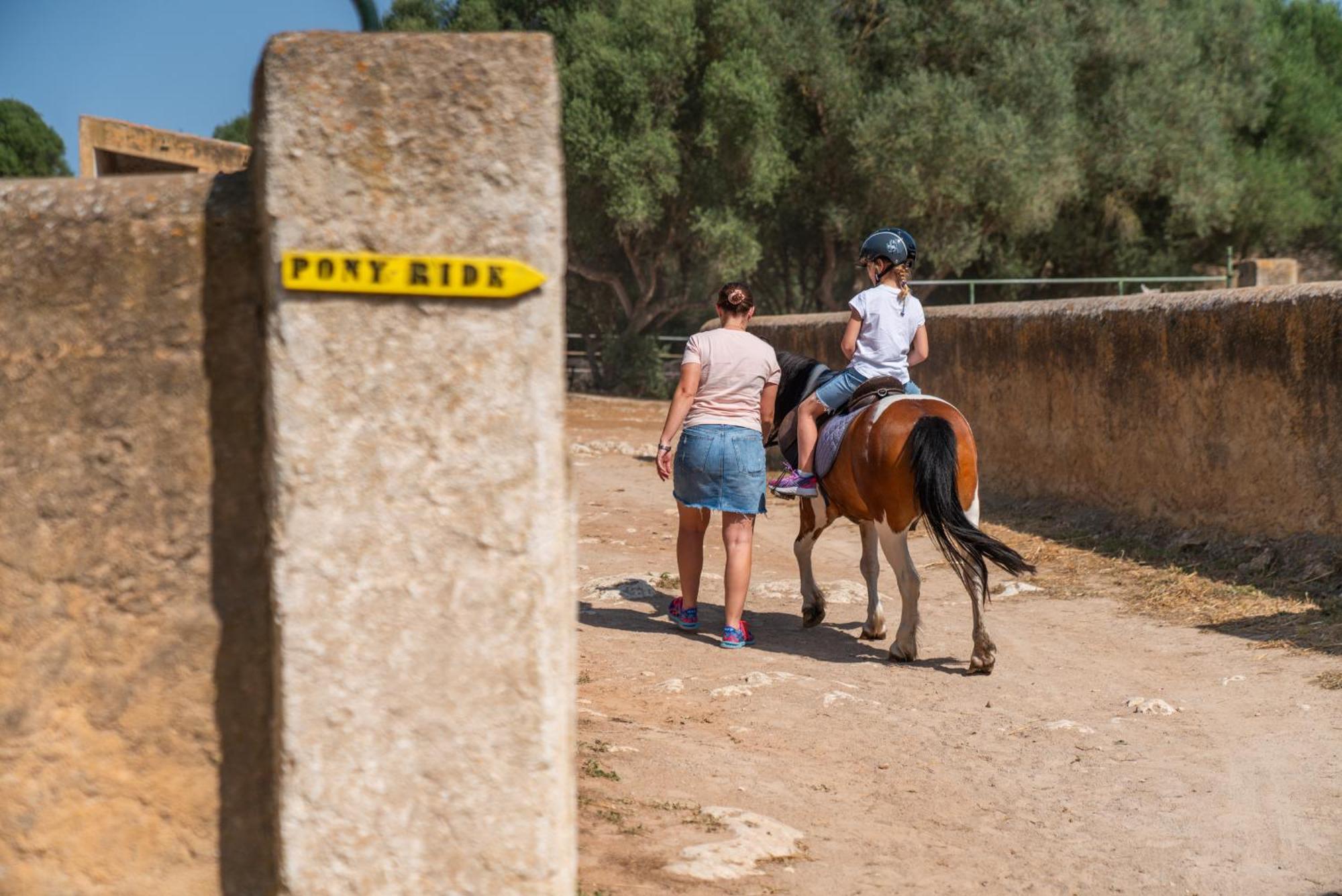 Finca Agroturismo Son Menut Felanitx Exteriör bild