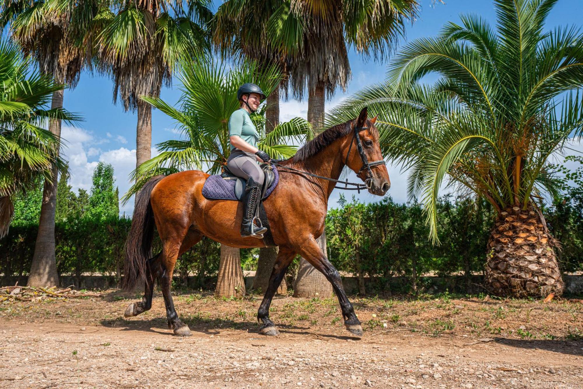 Finca Agroturismo Son Menut Felanitx Exteriör bild